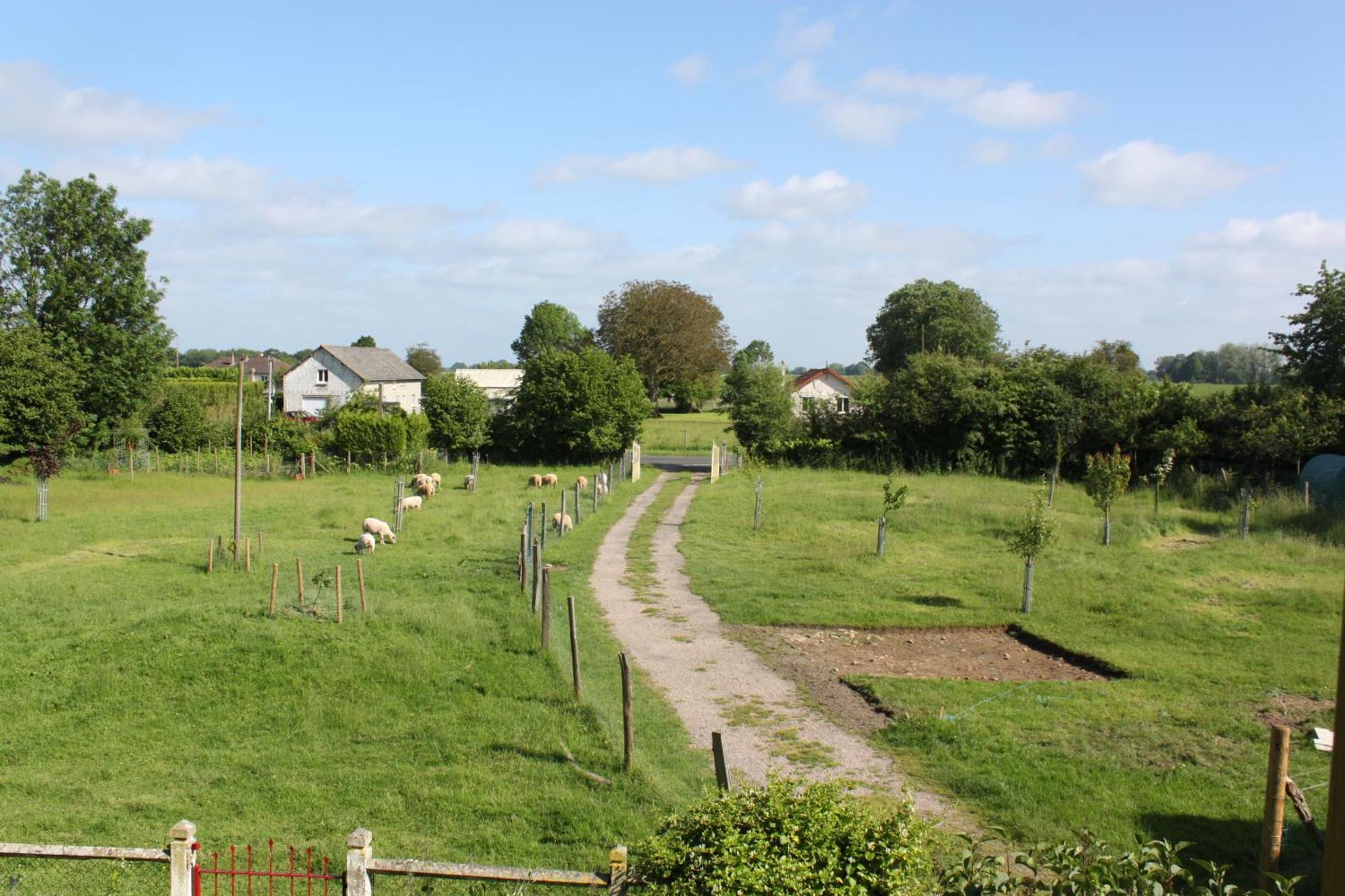Auberge De La Croix Du Maupas Capelle-les-Grands ภายนอก รูปภาพ